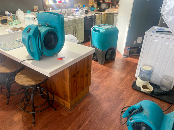 Best Local water damage restoration  in Milton, PA