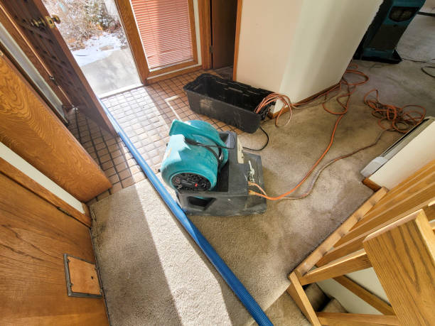 Best Water damage cleanup near me  in Milton, PA