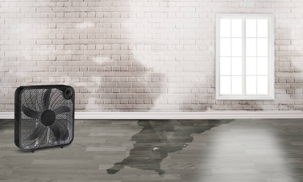 Best 24-hour water damage restoration  in Milton, PA