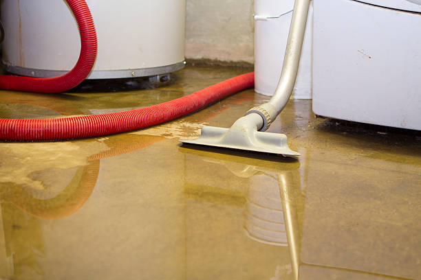 Best Residential water damage restoration  in Milton, PA