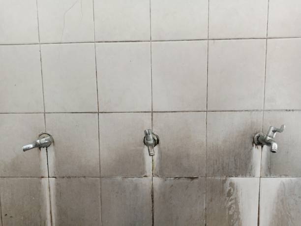 Best Ceiling water damage repair  in Milton, PA