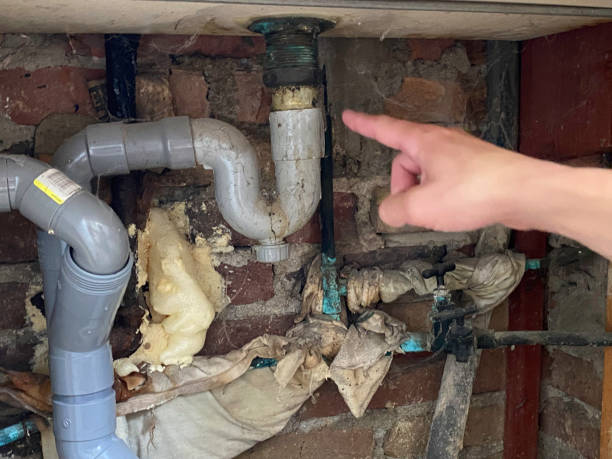 Best Flooded house restoration  in Milton, PA