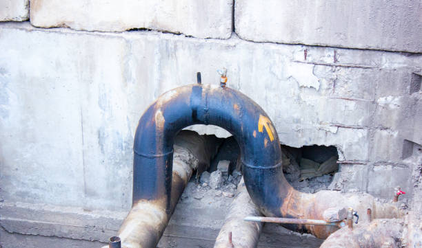 Best Carpet water damage restoration  in Milton, PA