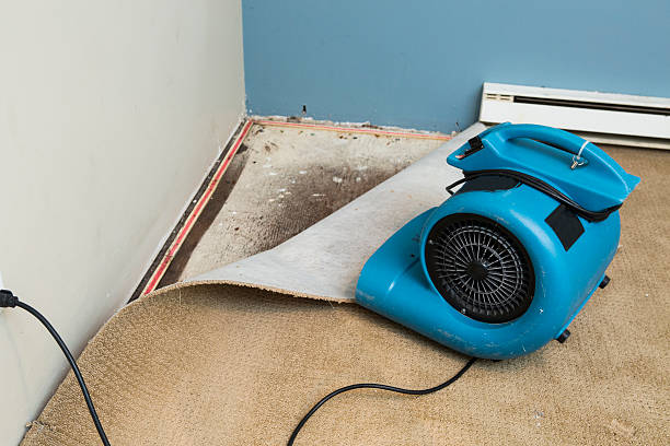 Best Flood restoration services  in Milton, PA